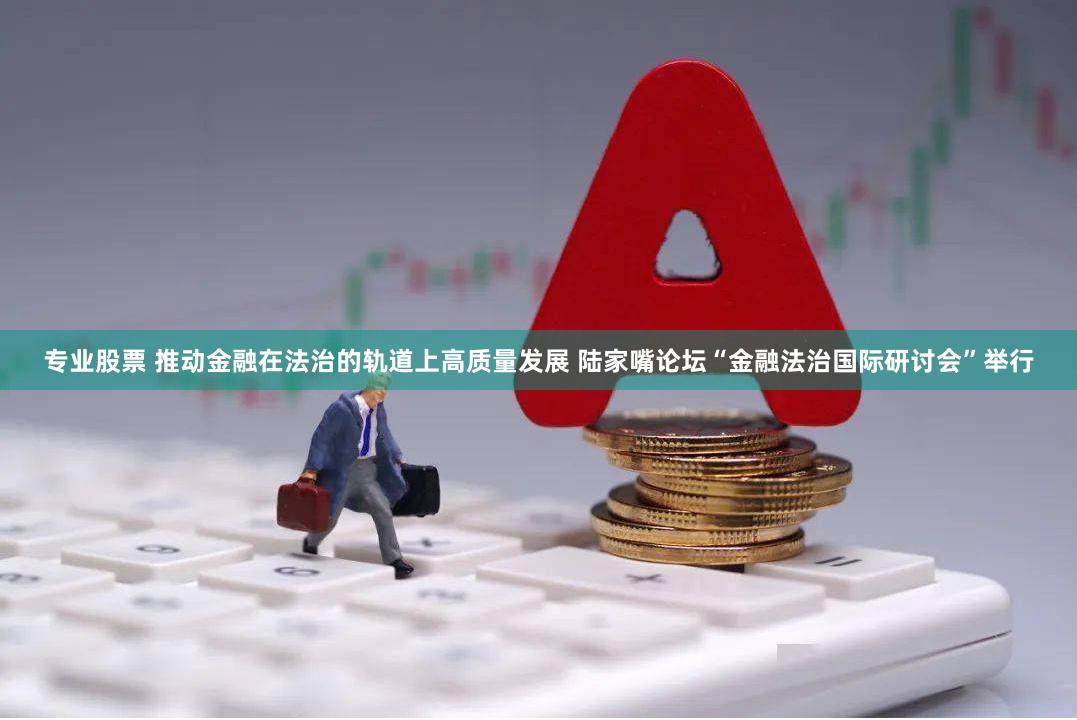 专业股票 推动金融在法治的轨道上高质量发展 陆家嘴论坛“金融法治国际研讨会”举行