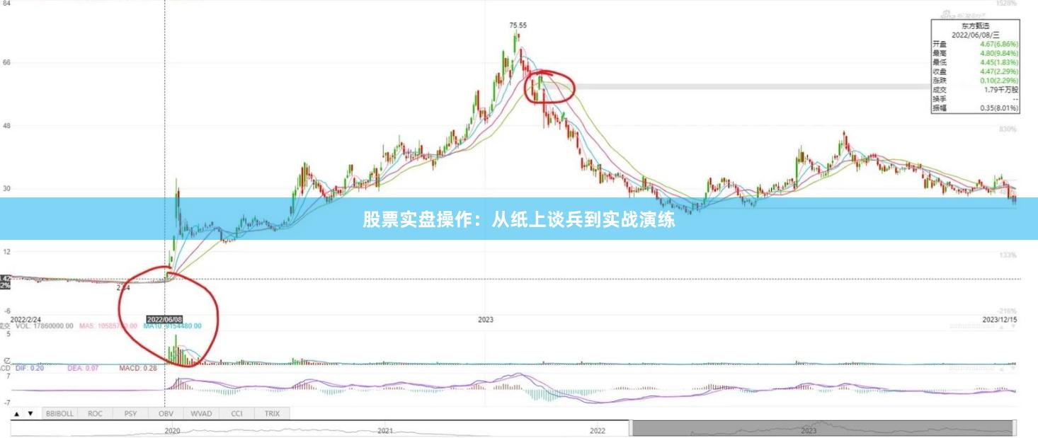 股票实盘操作：从纸上谈兵到实战演练