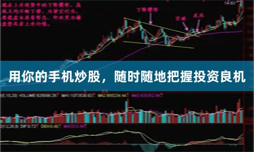 用你的手机炒股，随时随地把握投资良机