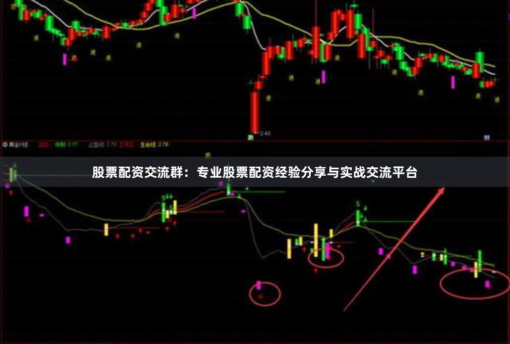 股票配资交流群：专业股票配资经验分享与实战交流平台