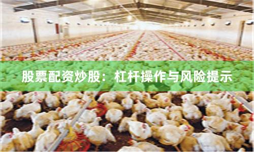 股票配资炒股：杠杆操作与风险提示